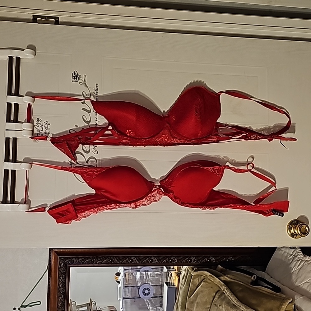Elegant Red Lace Bra Set
